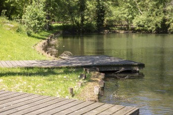 Bassin de la Muette : entre observation et équilibrage des écosystèmes