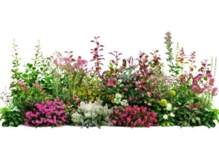 Concours des Jardins et Balcons fleuris