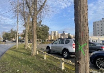 Travaux d'élagage sur l'avenue de la Villedieu