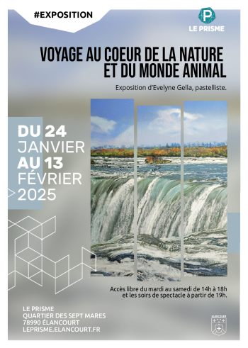 Exposition « Voyage au coeur de la nature et du monde animal »