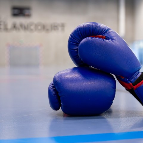 Initiation Savate Forme - 3 mai