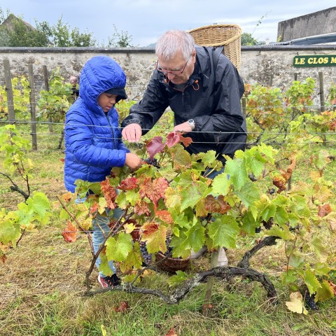 Fête des vendanges 2024