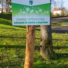Fleurissement de la ville