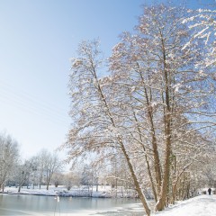 Elancourt sous la neige