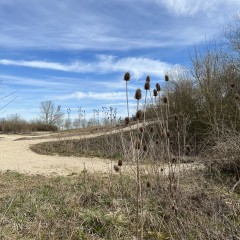 Héritage de la Colline : dernière visite 