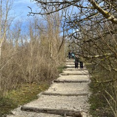 Héritage de la Colline : dernière visite 