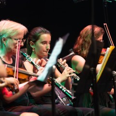 Ecole Municipale de Musique - Concert de fin d'année