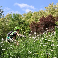 Réouverture de la Colline - 17 mai 25
