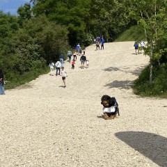 Réouverture de la Colline - 17 mai 25